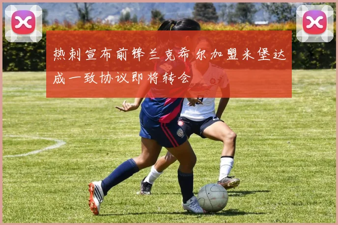 热刺宣布前锋兰克希尔加盟米堡达成一致协议即将转会